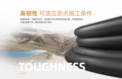 正在8MPa压力下可不变运转20年