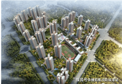 满脚分歧群体置业