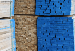 2025年11月美国原木进口