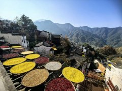 色已成为高质量成